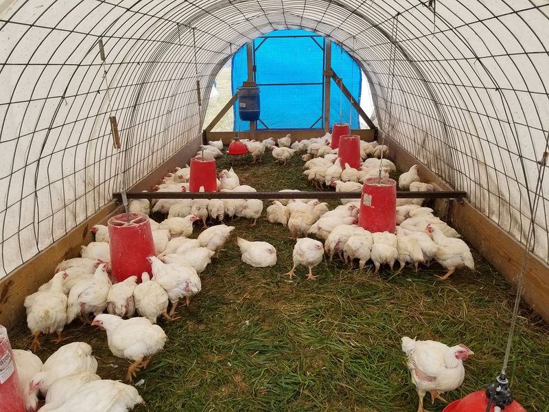 Taylor Family Farm