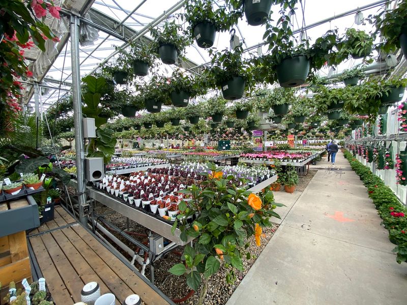 A Koi Pond Waits Quietly Behind The Main Greenhouse