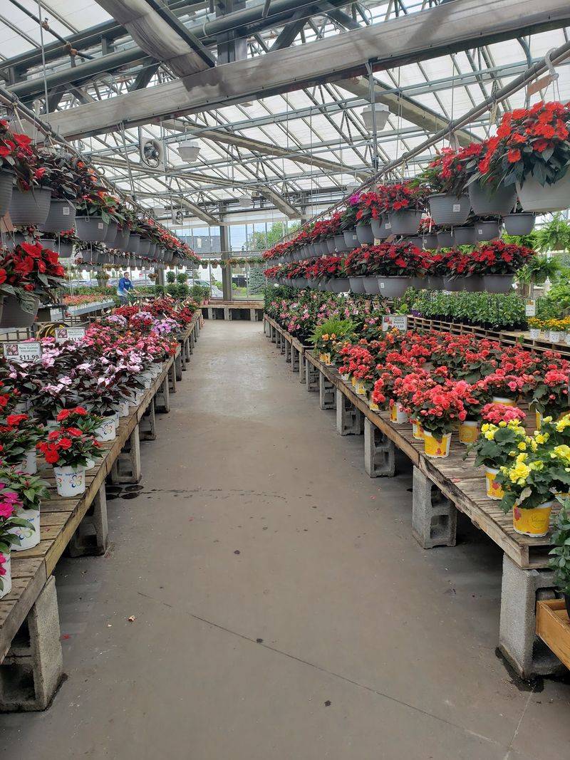 Greenhouses Full Of Living Color