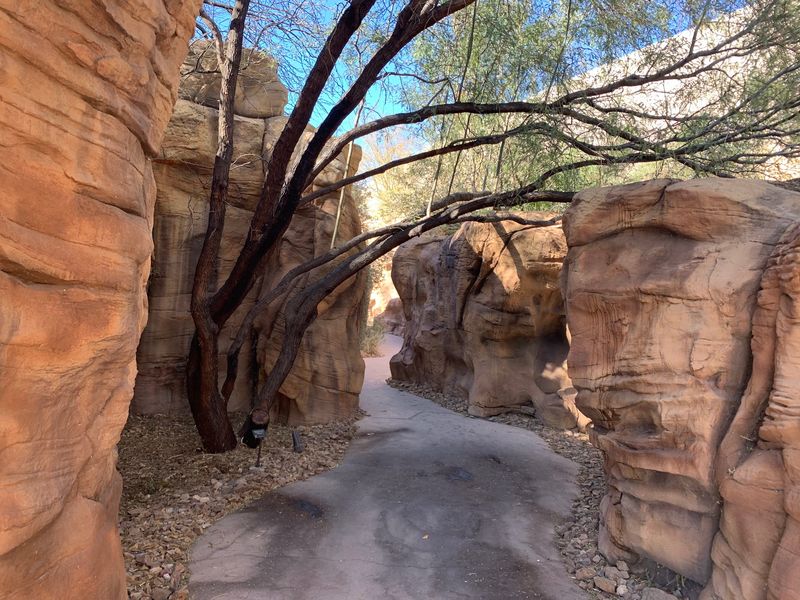 Birdsong Mornings And Trails Worth Exploring