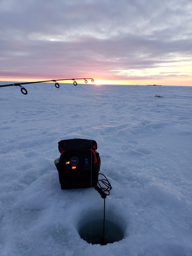 Walleye, Jumbo Perch, And Tullibee Headline The Winter Menu