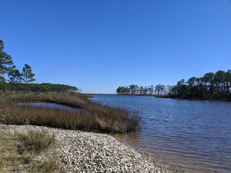 Grand Bay Coastal Resources Center, Moss Point, MS