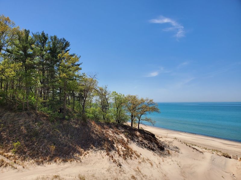 Indiana Dunes State Park