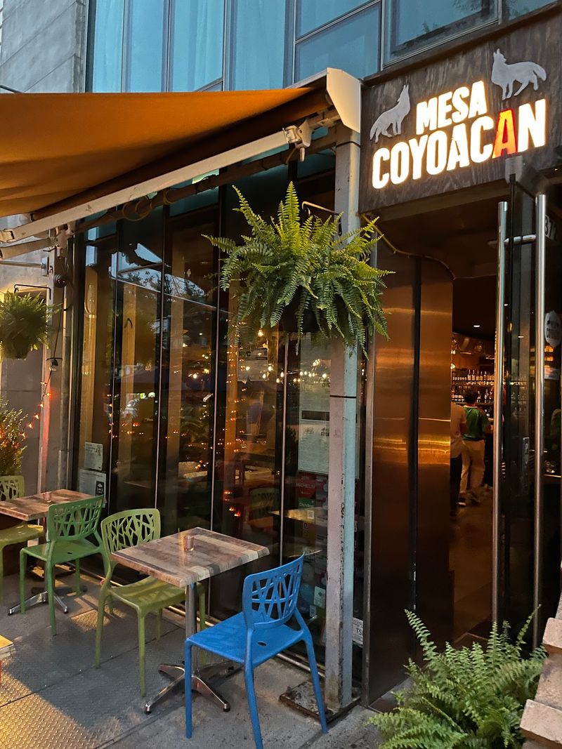 Mexico City Comfort In Williamsburg