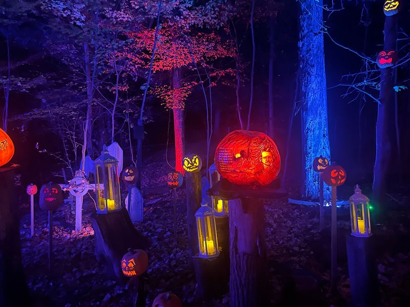 Soundtracks And Trivia That Bring The Woods Alive