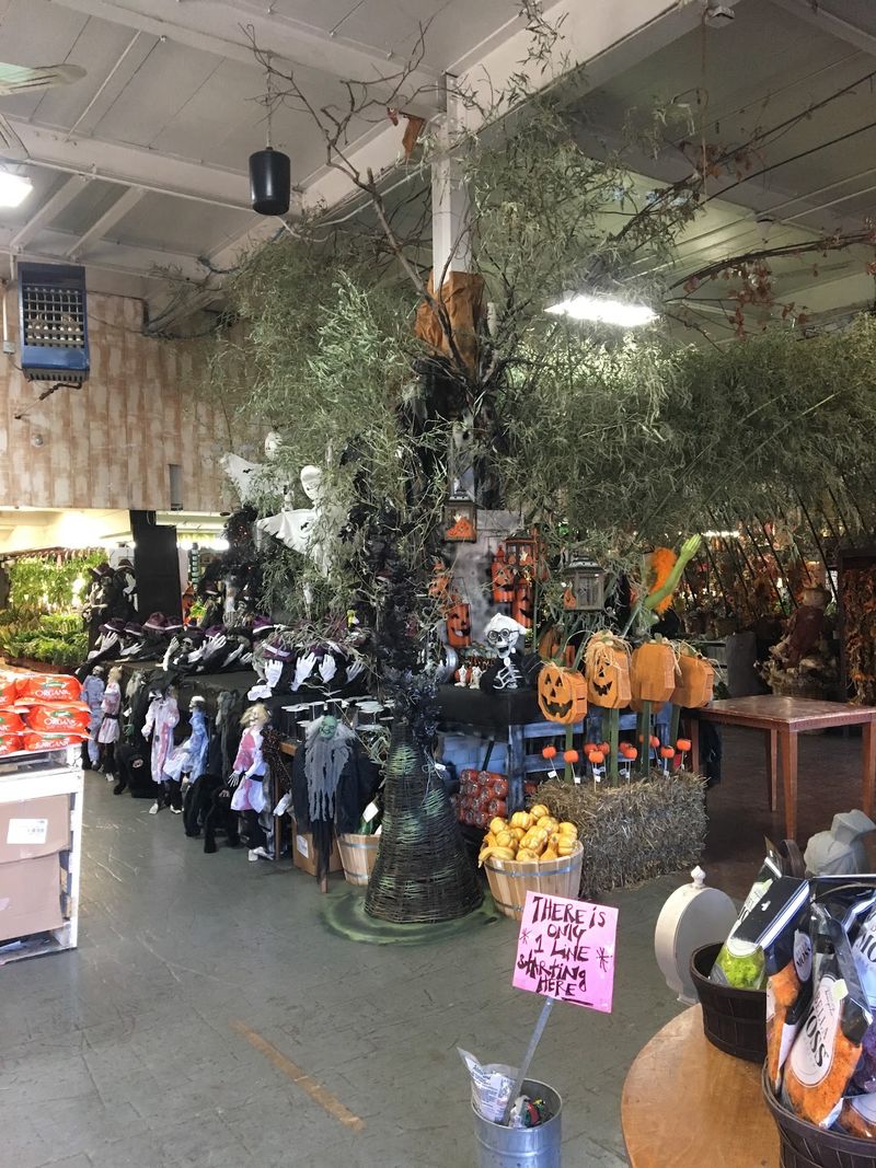 Fall Shows Up Here In Crates And Hay Bales