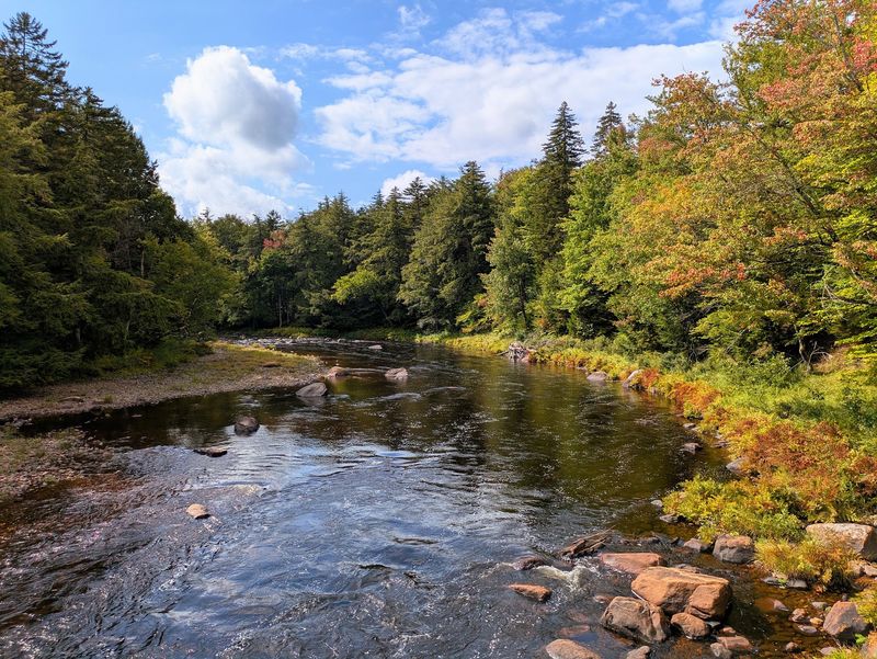 Save Time For Campsites, Graves, And Side Trips