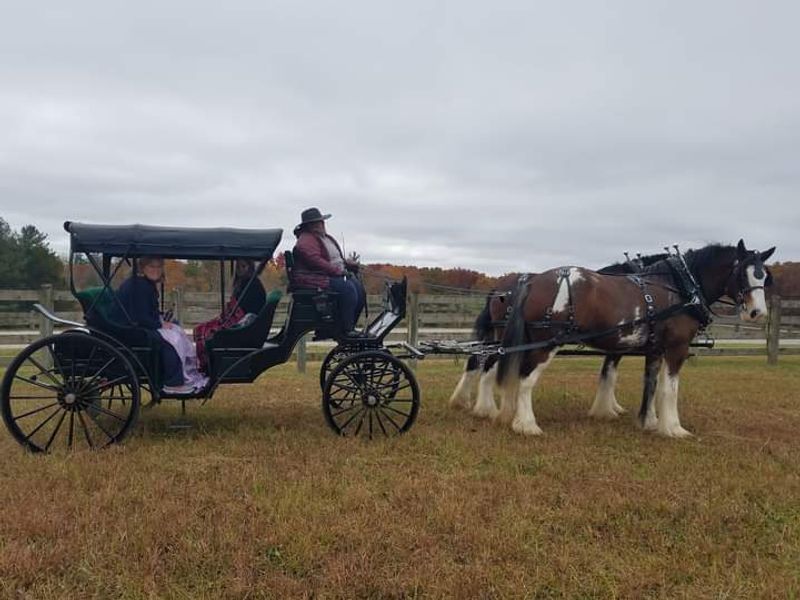 Valentine's Day Just Got A Lot More Hooves