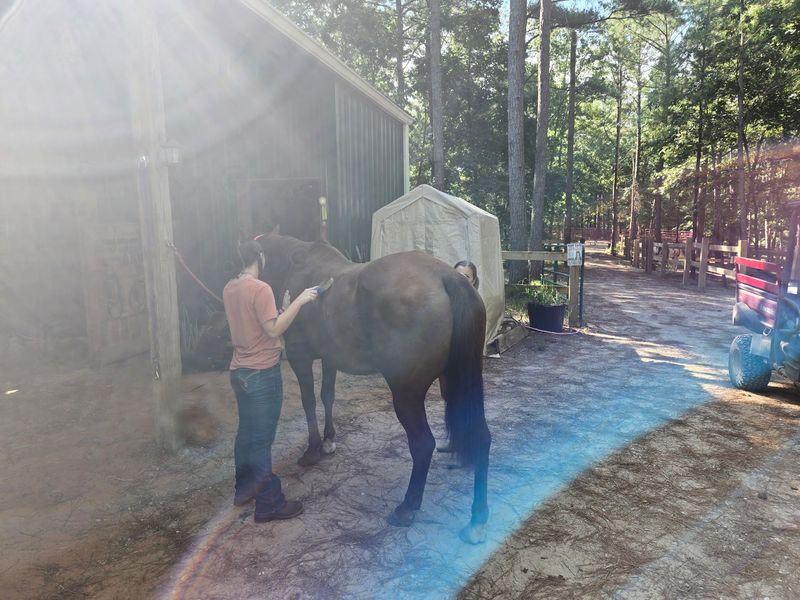 Lessons Before the Saddle