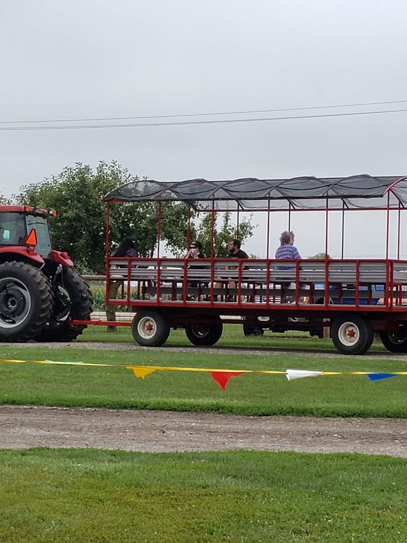 Hop On A Hayride Through The Fall Fields