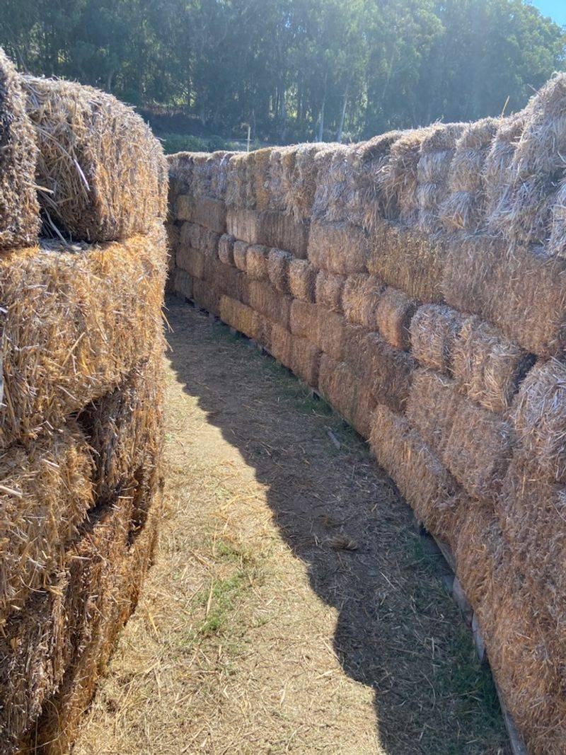 Inside The Minotaur's Labyrinth