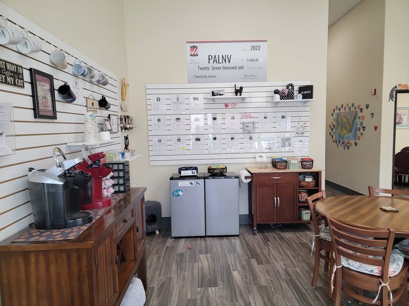 Snacks, Sips, WiFi, And A Boutique Full Of Cat Goodies
