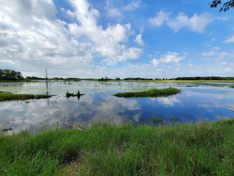 How Duck Stamps Helped Rebuild A River Basin