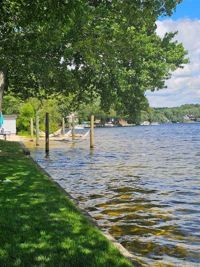 Plan Your Trip to This Douglas Lake Day
