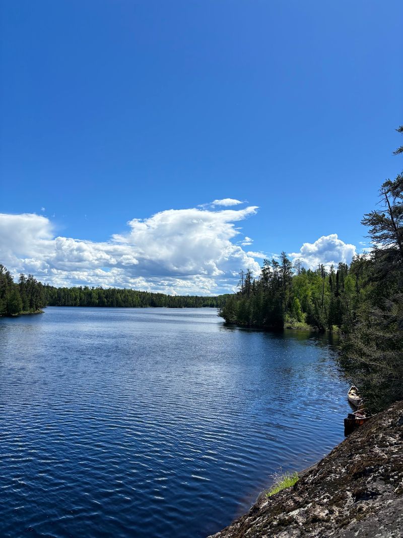 Walleye Wonderland