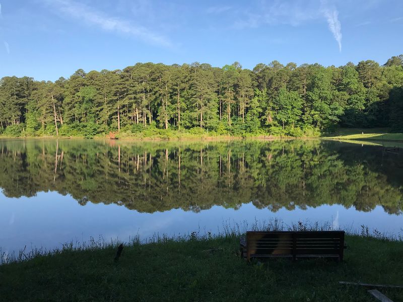Youth Fishing Rodeos