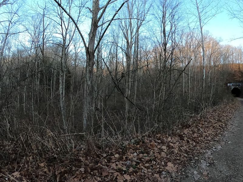 Telegraph Poles, Foundations, and Other Small Clues