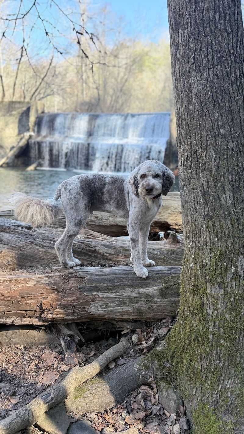 Julia Falls Steals The Spotlight