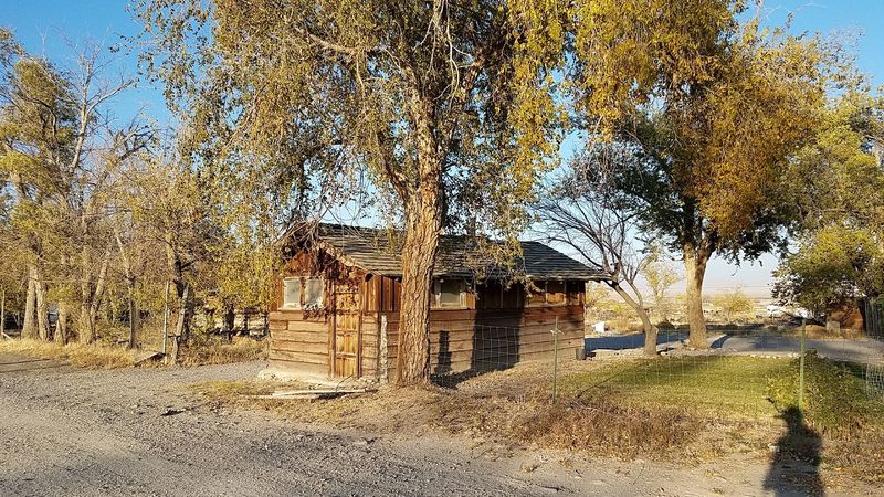 Gold Takes Over The Wheeler Peak Scenic Drive