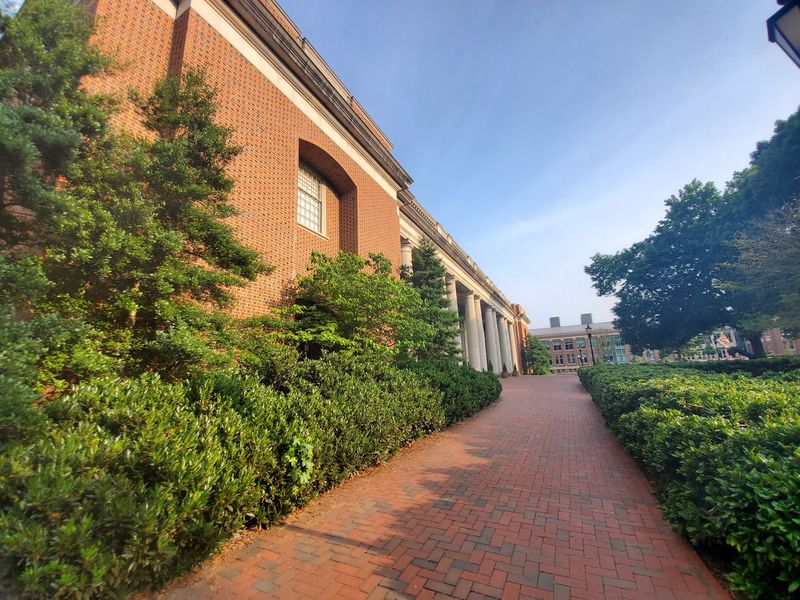 A Campus Built For Wandering