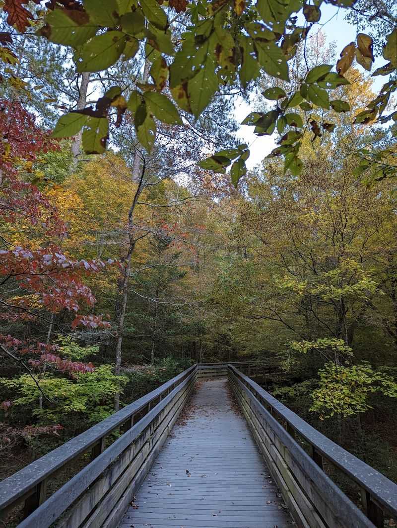 Longer Loops For Hikers Who Want More Miles