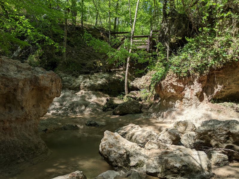 Wildlife Encounters Along The Ravines