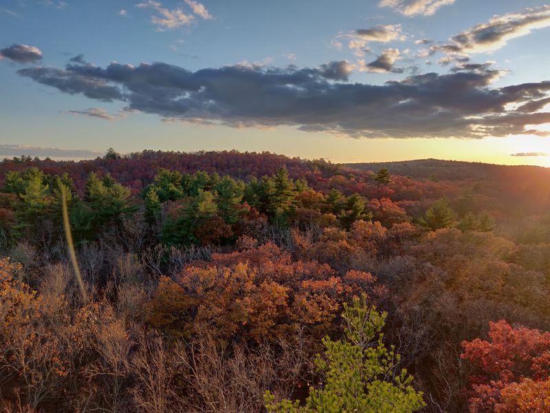 Thousands Of Acres Of Wild