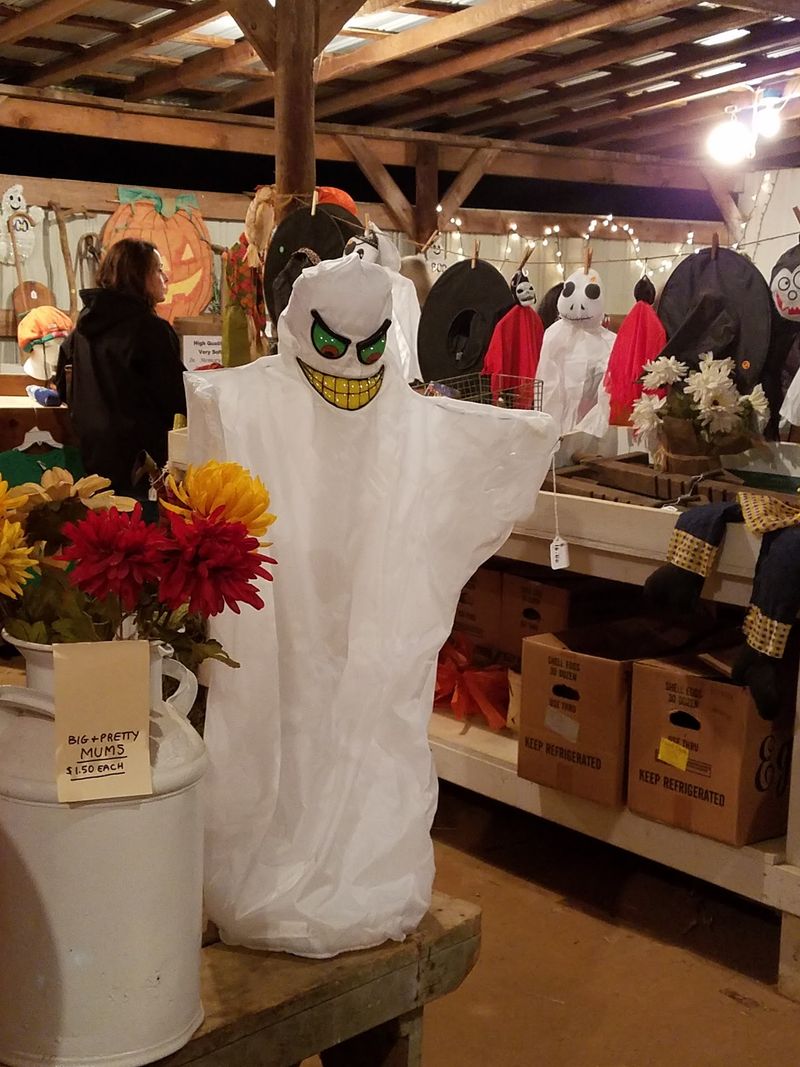 Smart Planning Makes Your Spooky Farm Night Way Easier