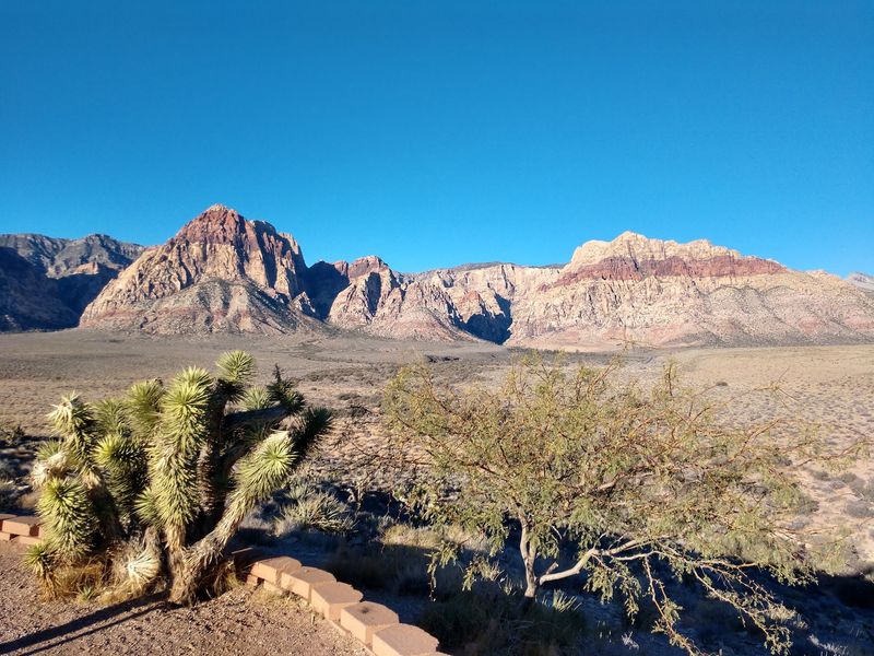 Red Rock Canyon Overlook