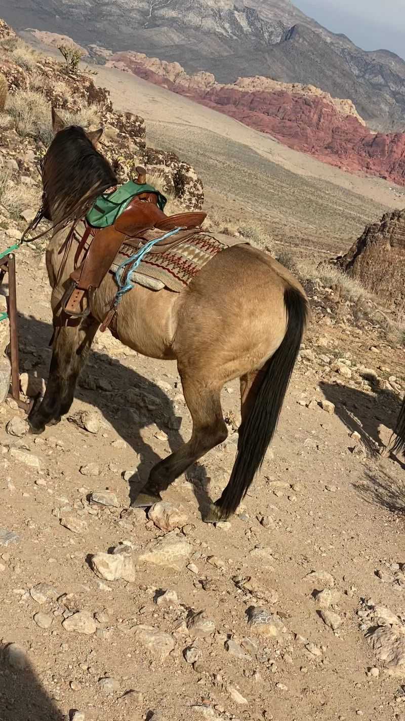 Riding The Rim Of Fossil Ridge