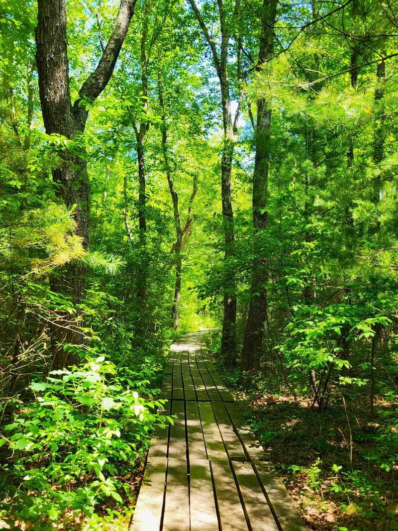 Wild Wanders Through Conservation Lands