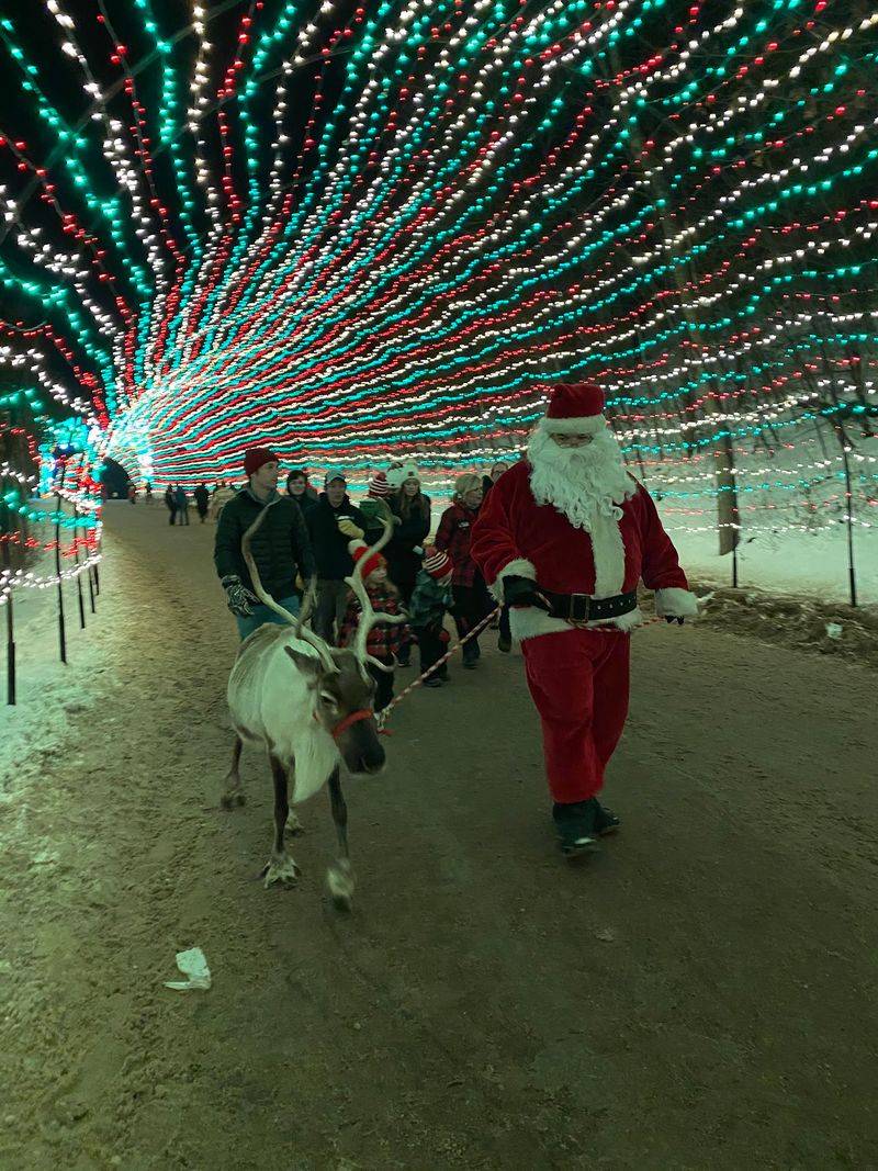 Real Reindeer And A Very Busy Santa