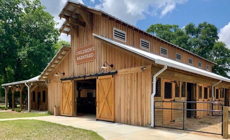 Children's Barnyard Encounters