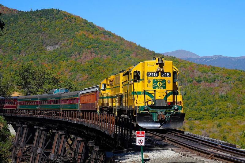 Narration That Brings The Scenery To Life