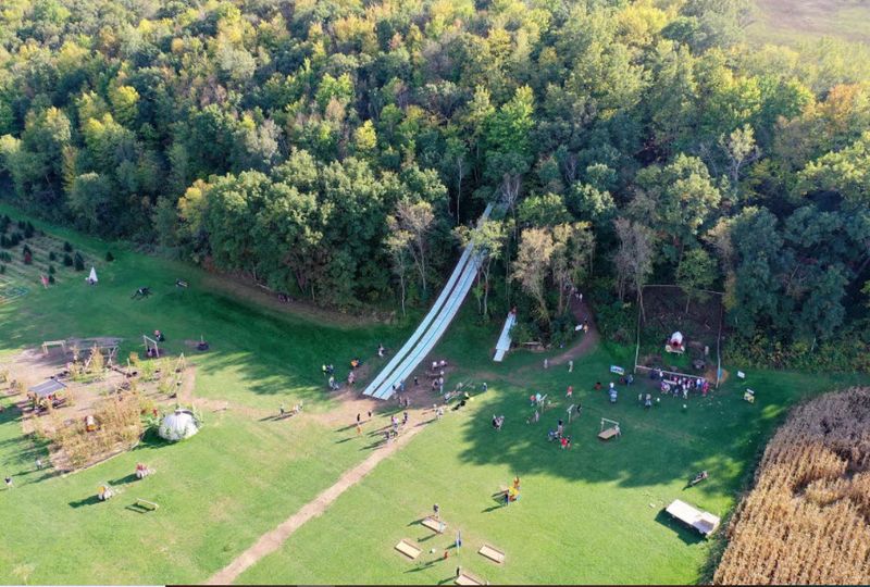Brave The Giant Forest Slide