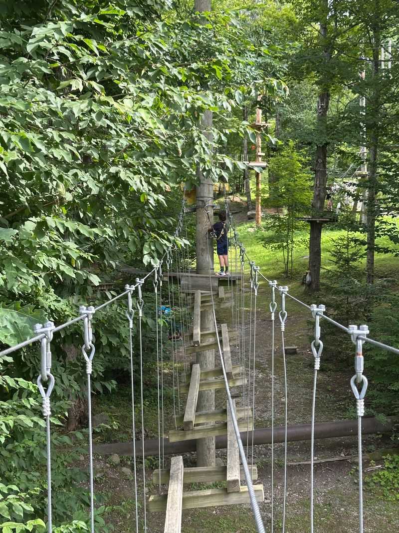 Slides, Swings, And Soaring Thrills