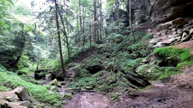 Down in the Gorge Along Buck Run