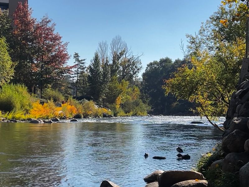 Idlewild Park