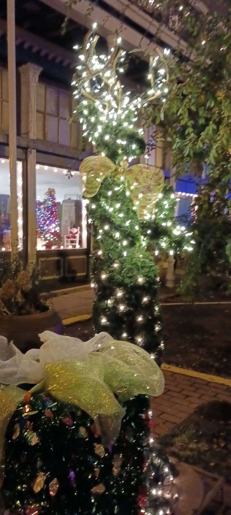 Cocoa, Cookies, and Holiday Stories