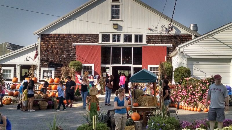Cider Hill Farm