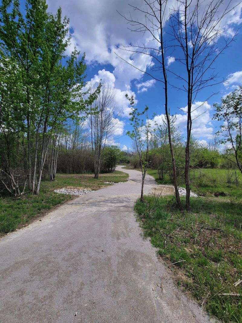 A Fresh Start With Trails And Picnic Spots