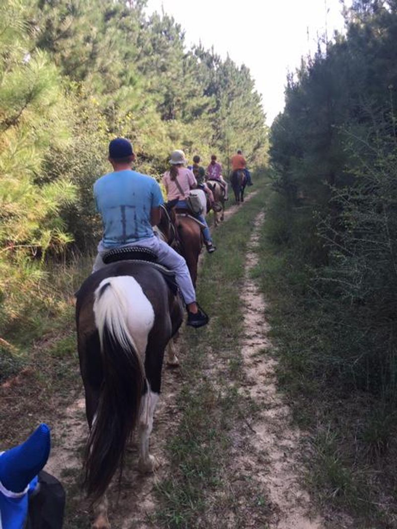 Horserideforfun.com