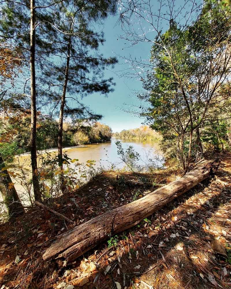 The Three-Acre Lake and Its Little Island