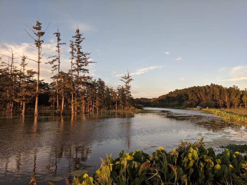 St. Catherine Creek National Wildlife Refuge
