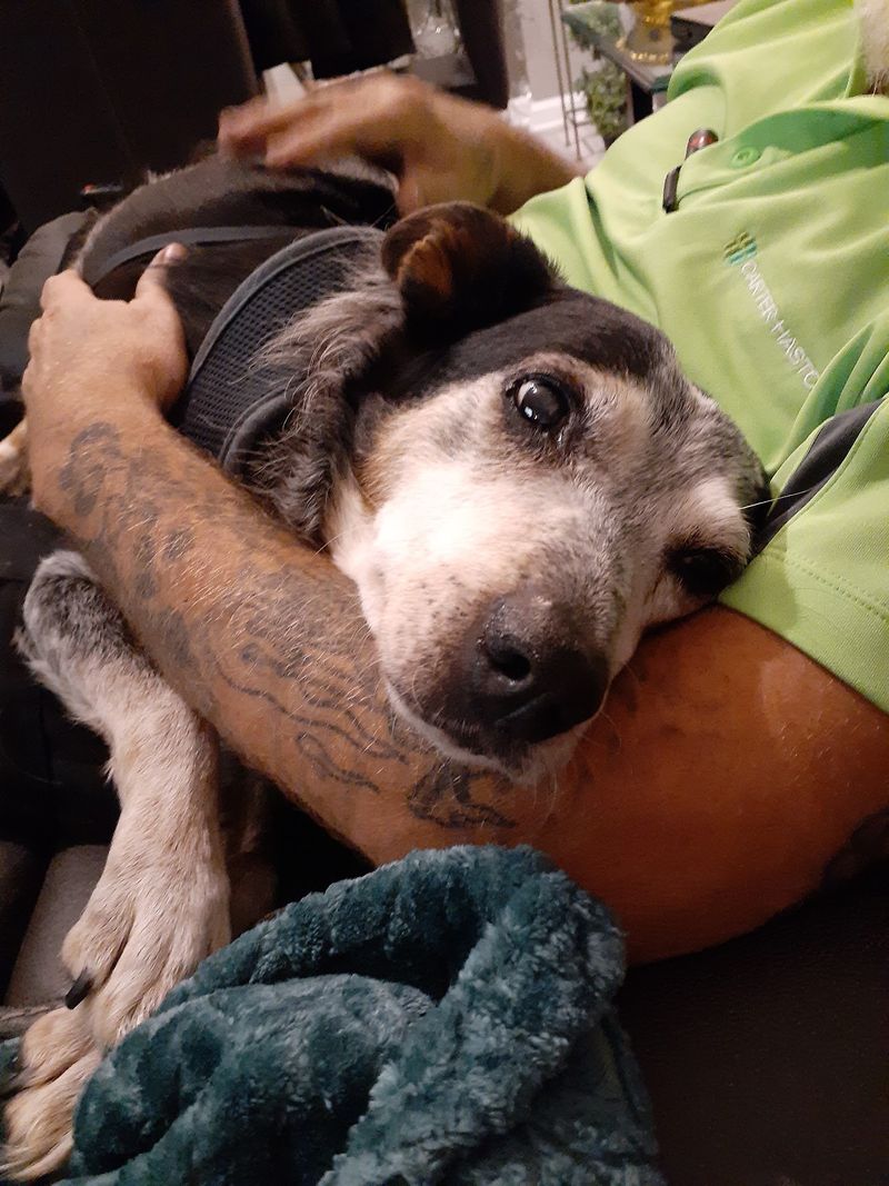 Geezer Guardians And The Forever Foster Magic