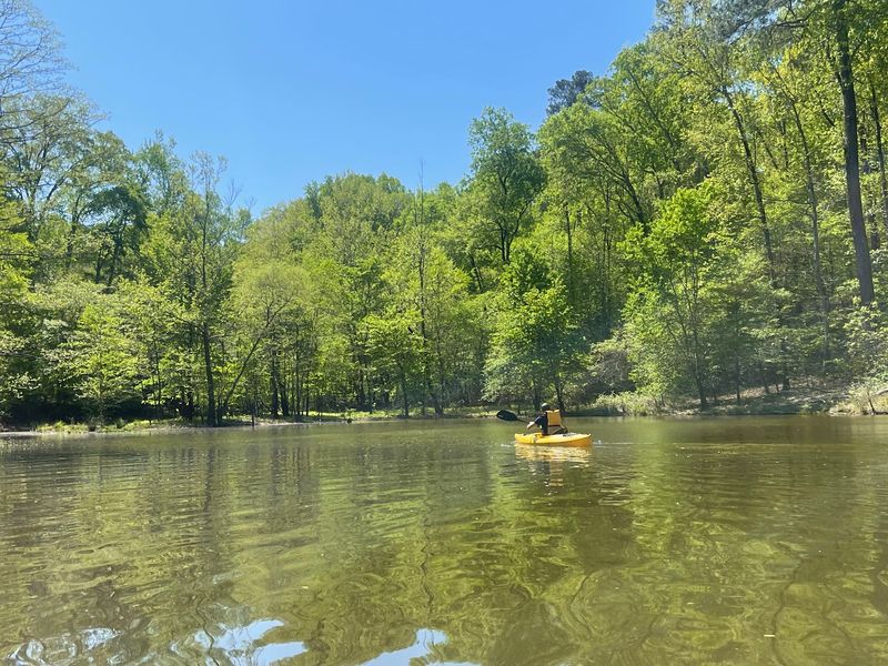 Boats, Bass, And A Whole Lot Of Coves