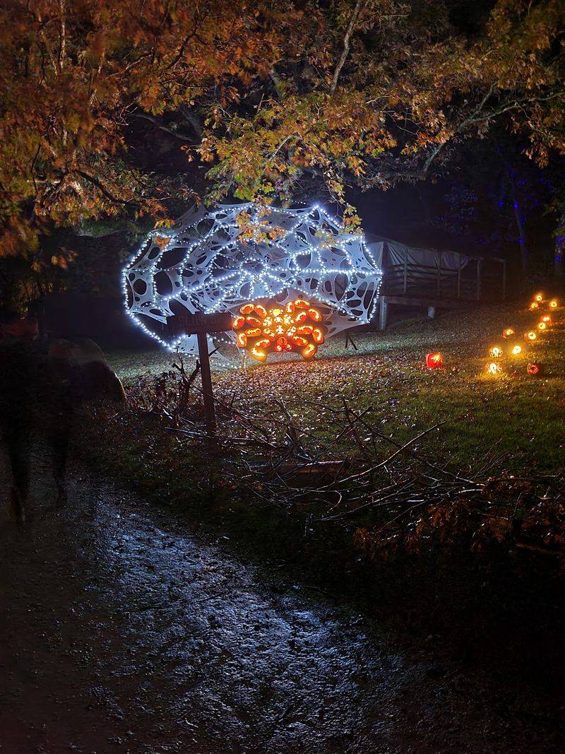 Thousands of Glowing Pumpkins Steal the October Spotlight