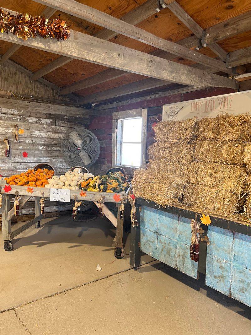 Fifty Years Of One Family Keeping The Fall Magic Going