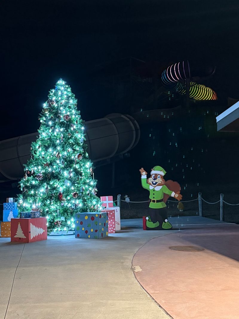 Santa Sometimes Brings A Waterpark Buddy Along