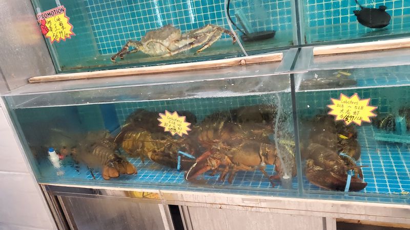 Live Seafood Tanks And Hard To Find Groceries